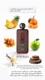 عطر ادکلن افنان ۹ پی ام | Afnan 9pm - تصویر 2